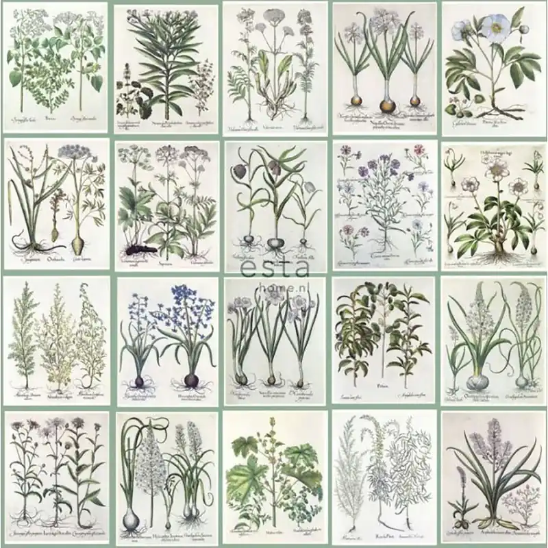 Vliestapete mit Pflanzen und Blumen, 159229, Vintage Flowers, Esta Home Markenprodukt